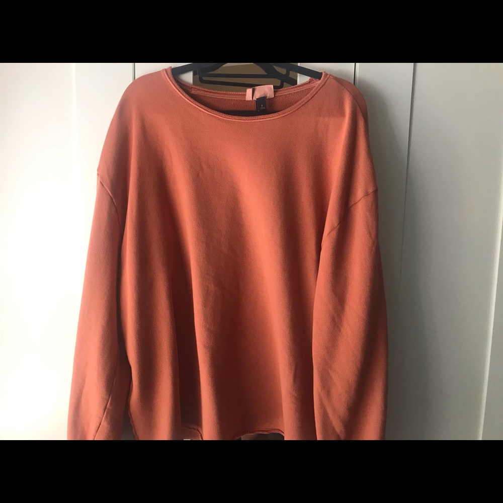 Burnt Orange Universal Thread Crewneck.